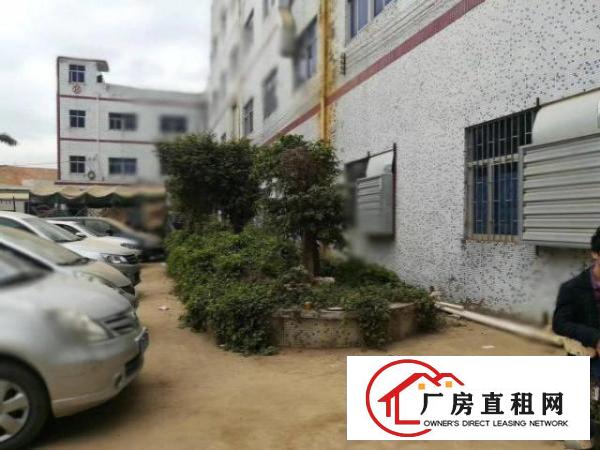  凤岗雁田布心一楼厂房出租1000平带牛角行车