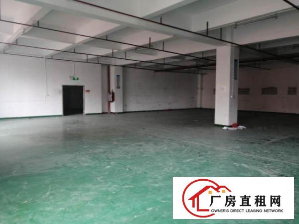 凤岗天堂围西旺工业区仓库厂房出租楼上700平米靠近深圳观澜
