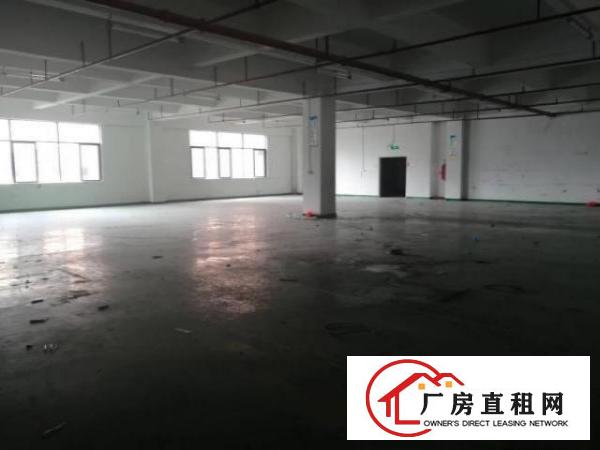  凤岗天堂围西旺工业区仓库厂房出租楼上700平米靠近深圳观澜
