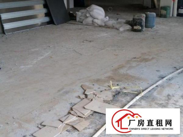  公寓楼一楼，百积600平方，交通方便