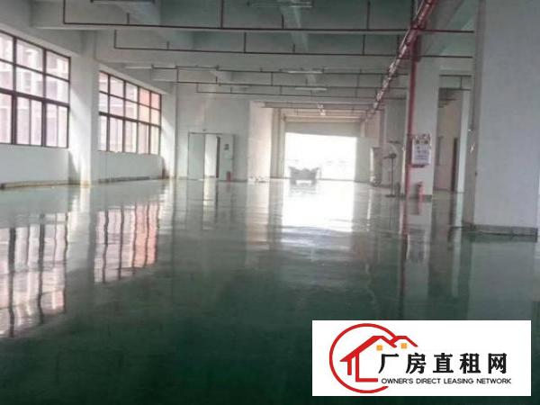  凤岗东深二线边带装修厂房出租楼上1200平水电齐全价格便宜