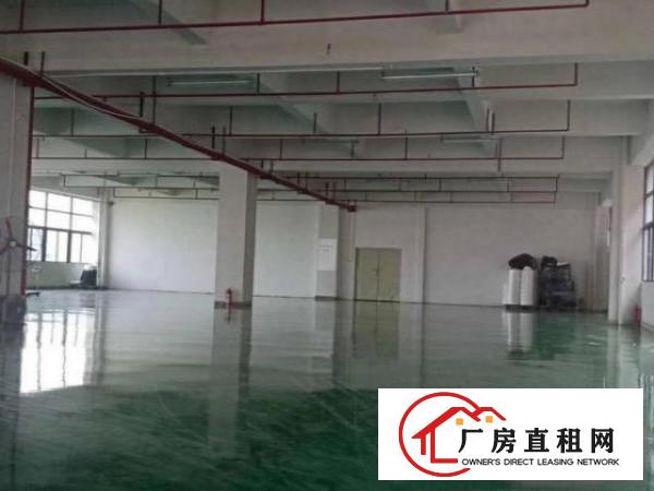  凤岗东深二线边带装修厂房出租楼上1200平水电齐全价格便宜