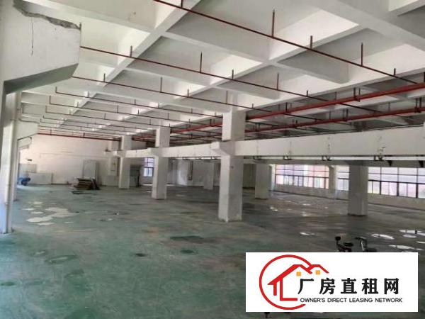  凤岗竹塘科技园重工业厂房出租标准一楼2600平方带牛角