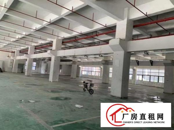  凤岗竹塘科技园重工业厂房出租标准一楼2600平方带牛角