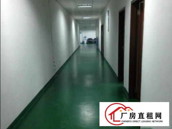  凤岗独门独院4500平米厂房出租可分租