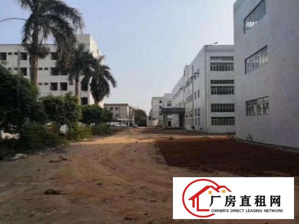  凤岗新出精美独门独院.大小可任意分租