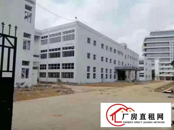  凤岗新出精美独门独院.大小可任意分租