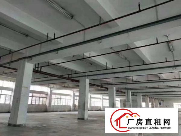  凤岗新出精美独门独院.大小可任意分租