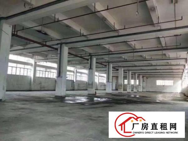  凤岗新出精美独门独院.大小可任意分租