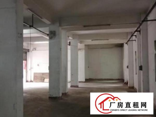  面积约300平方，独栋独院一手小加工厂或仓库