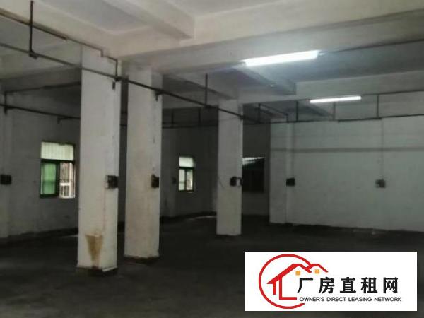  面积约300平方，独栋独院一手小加工厂或仓库