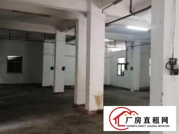  面积约300平方，独栋独院一手小加工厂或仓库
