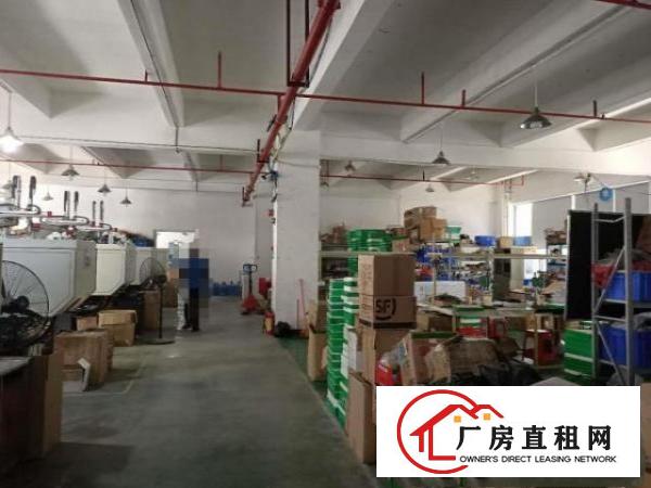 凤岗碧湖电子组装小五金加工毛刷手袋厂房出租精装修