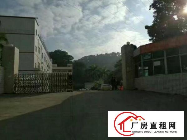  凤岗天堂围楼上刷地板漆厂房出租1500平电子硅胶电商