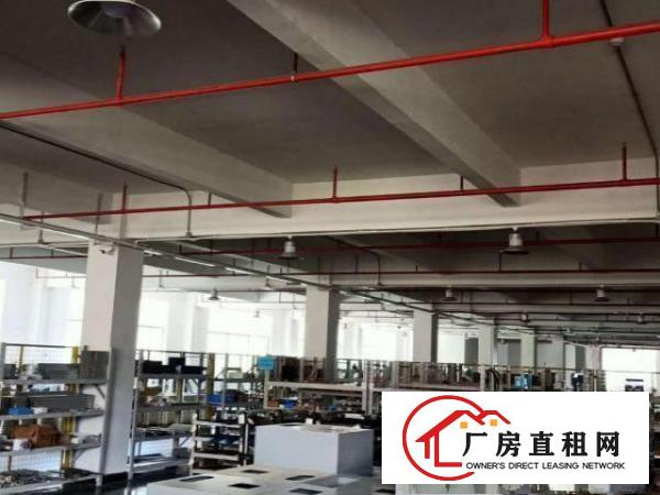  凤岗镇形象好带装修消防喷淋厂房出租二楼3600平米空地大