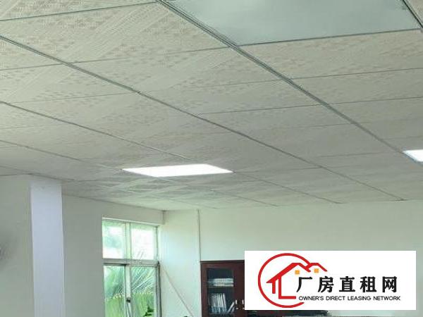  拎包入住凤岗精装办公室，电商贸易淘宝厂房出租700平