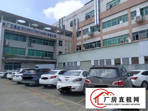  原房东无公摊凤岗一楼6米高带牛角阁楼750平厂房出租