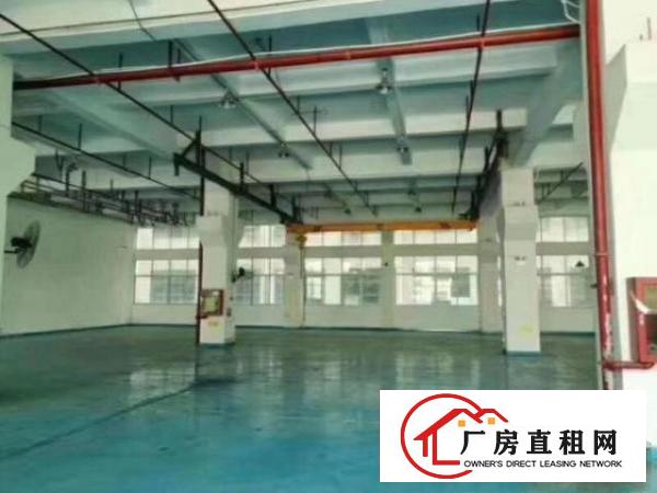  凤岗小独院厂房一楼1000平带地坪漆有喷淋办公室装修空地大
