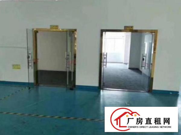  凤岗小独院厂房一楼1000平带地坪漆有喷淋办公室装修空地大