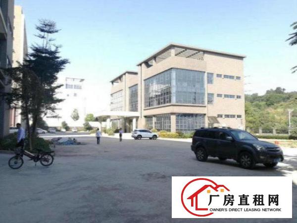  凤岗镇生态园20000平方带红本双证厂房，物流冷链食品电商