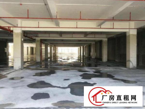  凤岗镇生态园20000平方带红本双证厂房，物流冷链食品电商