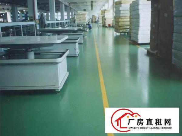  凤岗带办公楼标准厂房500-2000㎡招租