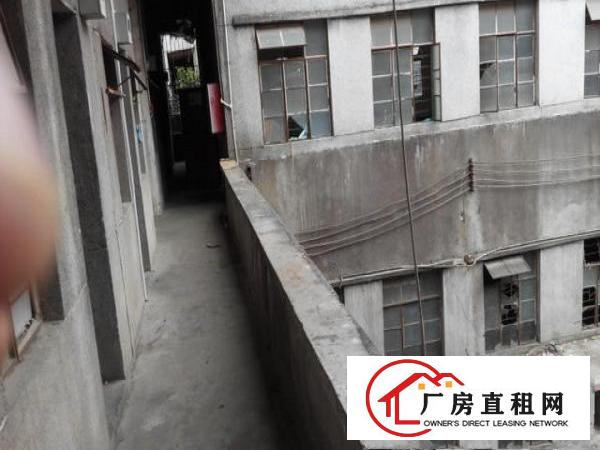  独院3000平方厂房出租可分租小分租500
