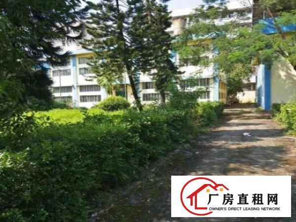  独院厂房出租靠近东深二路面积13450平米