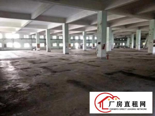  独院厂房出租靠近东深二路面积13450平米