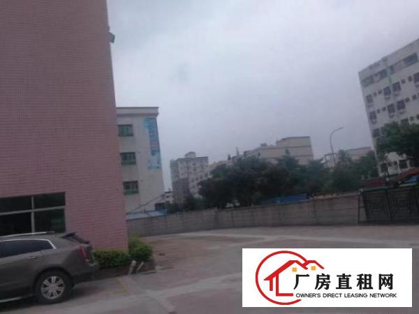  雁田布心独栋厂房出租！可分租！600起租