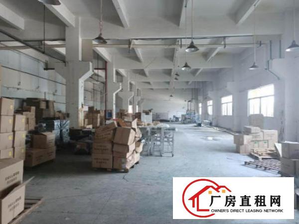  凤岗原房东实际面积厂房出租一楼750平米6.5米高靠深圳