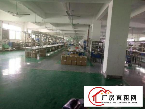  凤岗黄洞东深二路旁原房东厂房招租二楼1200平米带有货梯