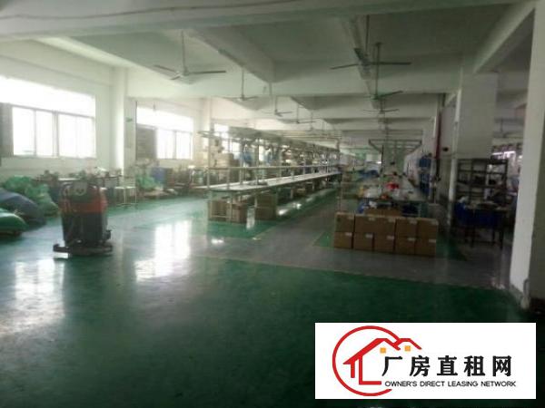  凤岗黄洞东深二路旁原房东厂房招租二楼1200平米带有货梯