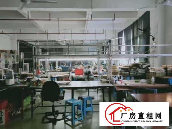  凤岗金凤凰带精装修厂房楼上900平米出租水电到位拎包入住