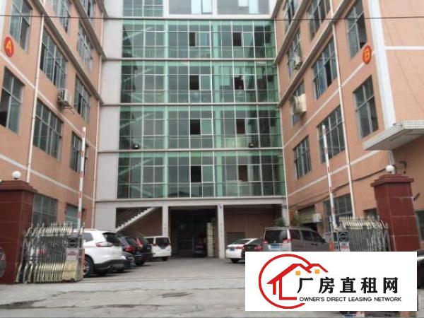  凤岗金凤凰带精装修厂房楼上900平米出租水电到位拎包入住