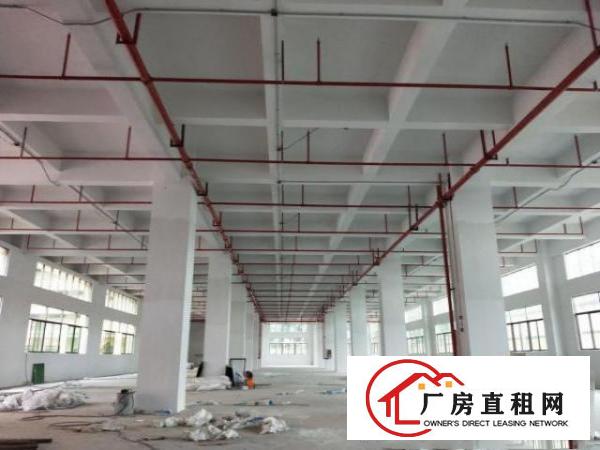  凤岗竹塘村委厂房独院2栋共22000平方可以分租