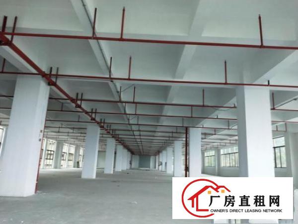  凤岗竹塘村委厂房独院2栋共22000平方可以分租