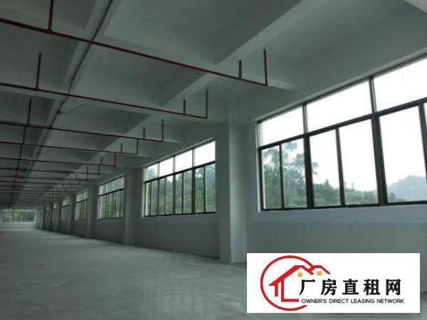  凤岗竹塘村委厂房独院2栋共22000平方可以分租