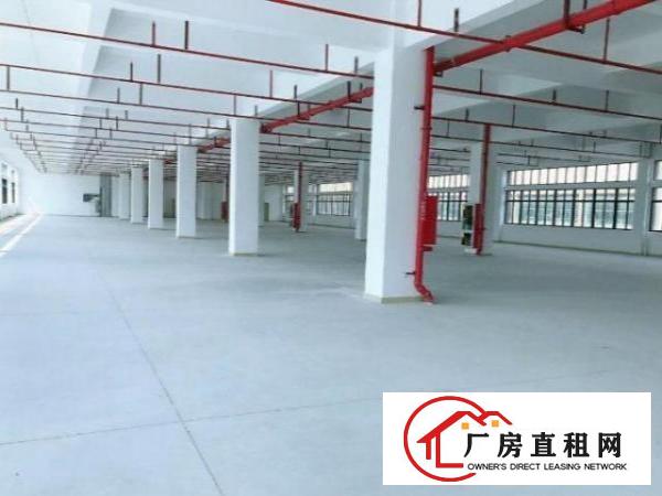  凤岗业主工业园全新厂房每层2100平方14元