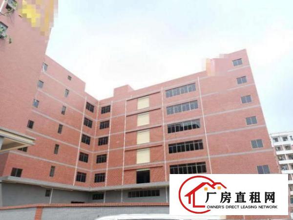  凤岗全新独院厂房出租3万平米也可做电商仓库
