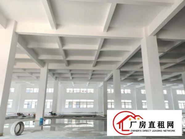  凤岗全新独院厂房出租3万平米也可做电商仓库