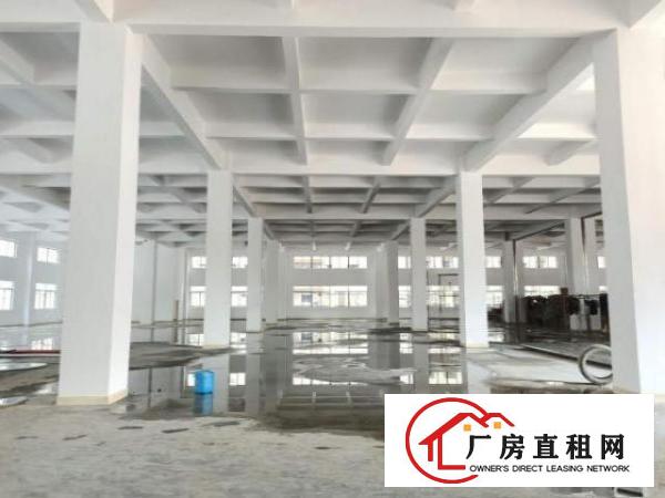  凤岗全新独院厂房出租3万平米也可做电商仓库