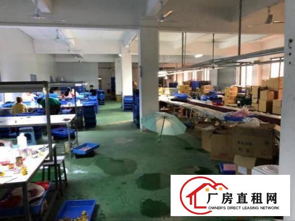  凤岗嘉辉豪庭附近二楼厂房出租刷绿地坪漆