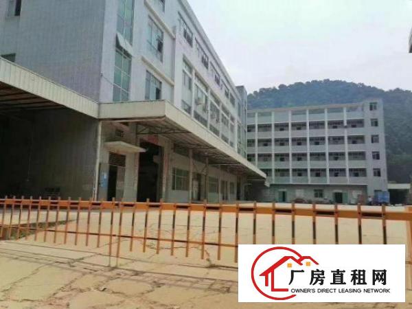  凤岗9100平米独院厂房出租可分租