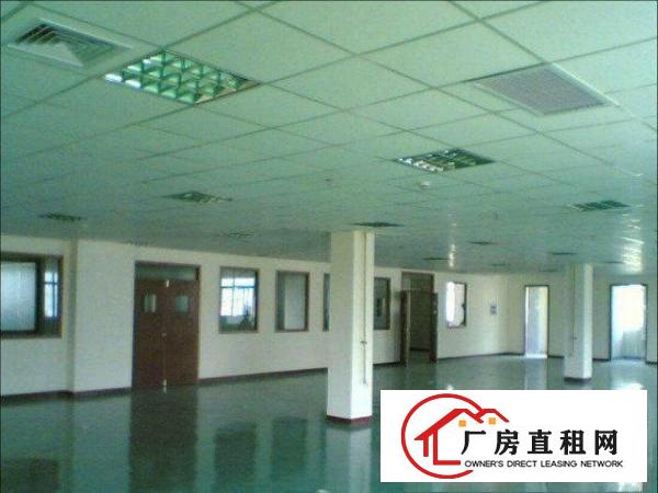  凤岗带办公楼标准厂房500-2000㎡招租