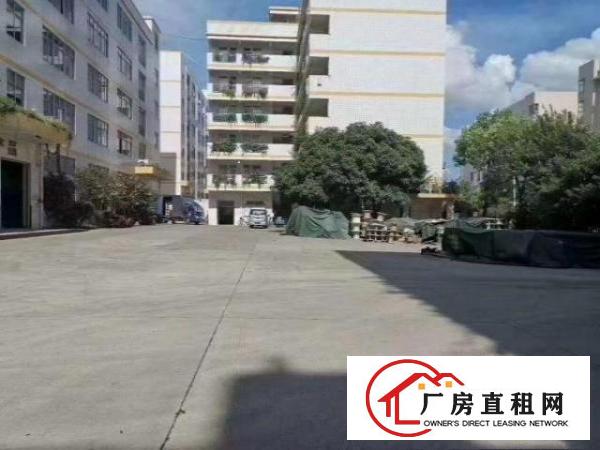  凤岗新出原房东独门独院