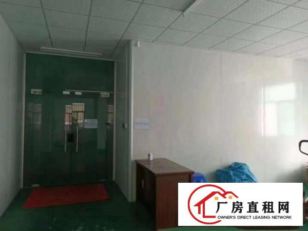  凤岗新出原房东独门独院