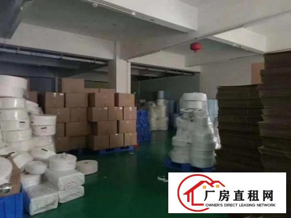  凤岗新出原房东独门独院