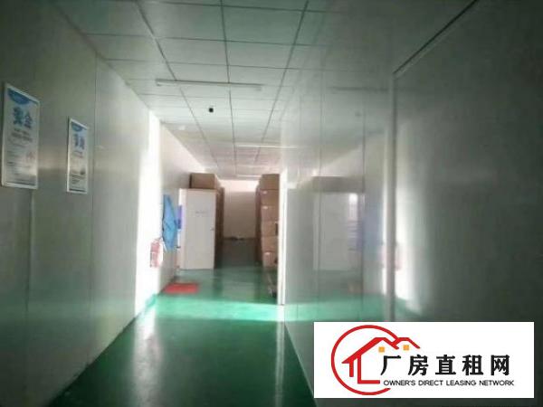  凤岗新出原房东独门独院