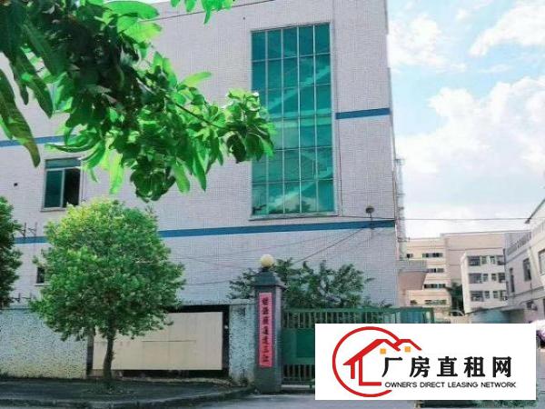  凤岗原房东全新地坪漆厂房出租楼上750平，拎包入住，价格便宜
